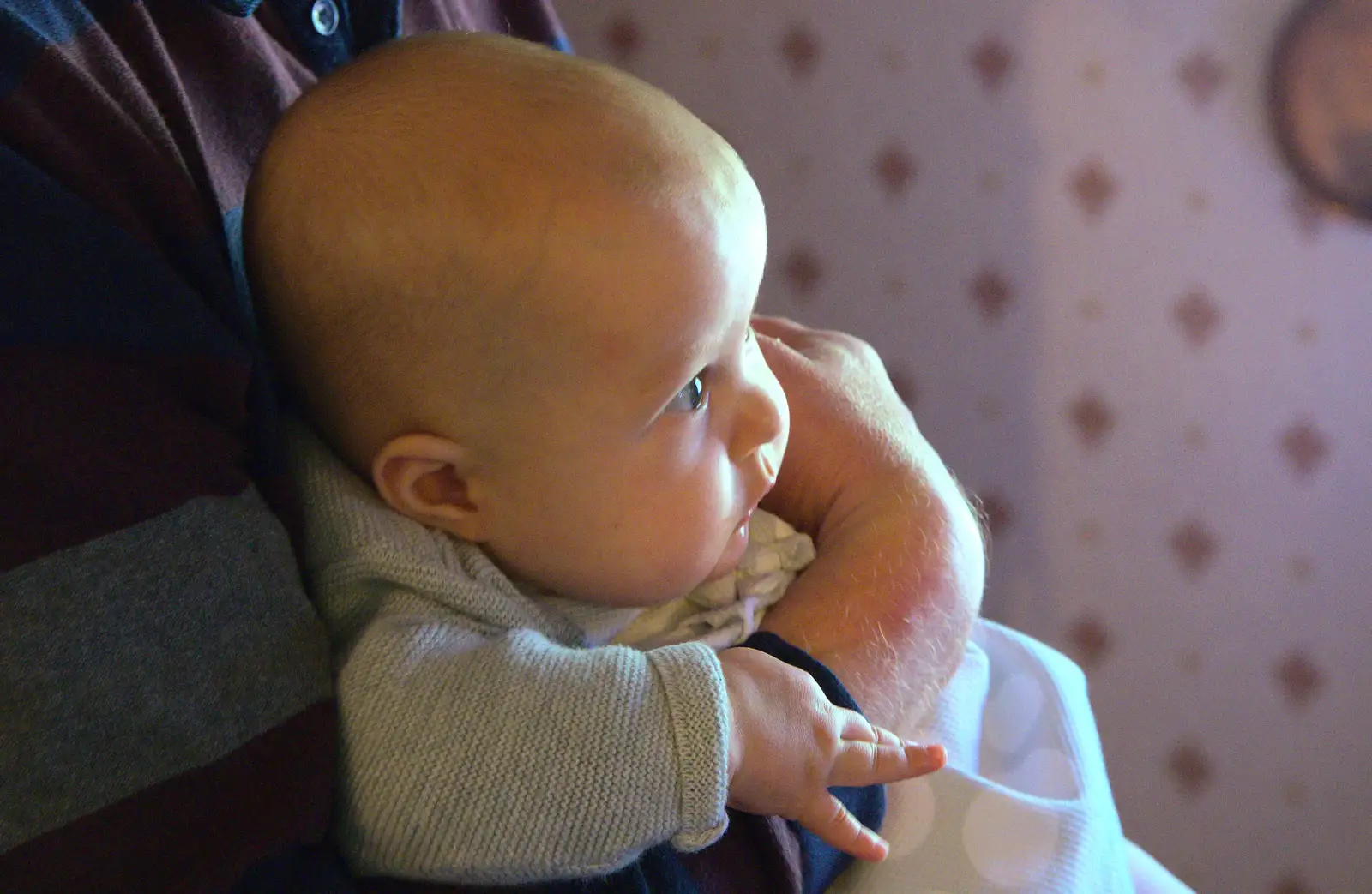 Isabella peers around, from Matthew's Birthday up The Swan Inn, Brome, Suffolk - 17th August 2014