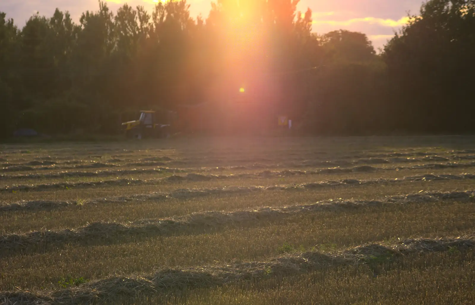 Piles of cut straw, from Matthew's Birthday up The Swan Inn, Brome, Suffolk - 17th August 2014