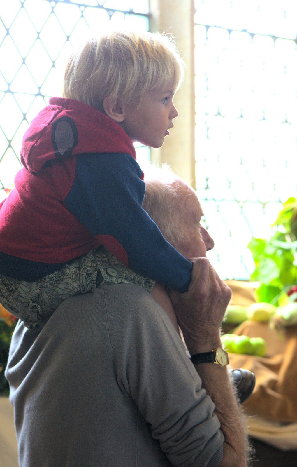 Harry watches from Grandad's shoulders from The Oaksmere, and the Gislingham Flower Festival, Suffolk - 24th August 2014