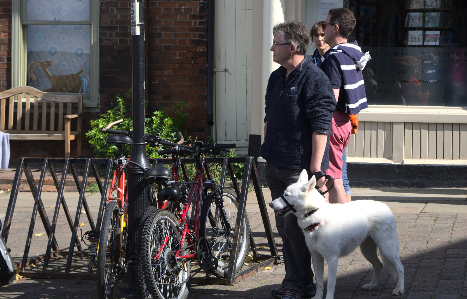 Even the dog's watching from The Framlingham 10k Run, Suffolk - 31st August 2014