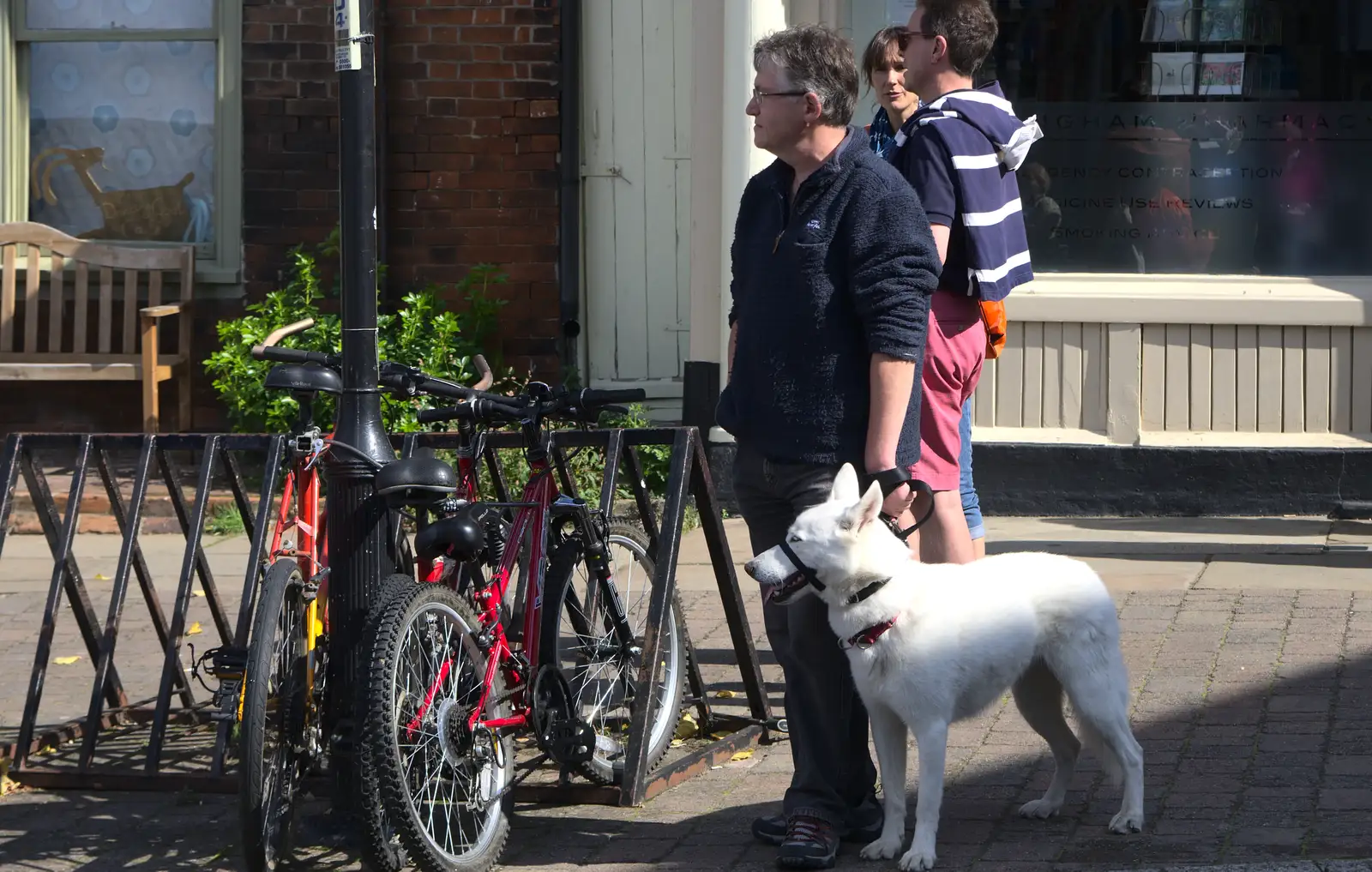 Even the dog's watching, from The Framlingham 10k Run, Suffolk - 31st August 2014