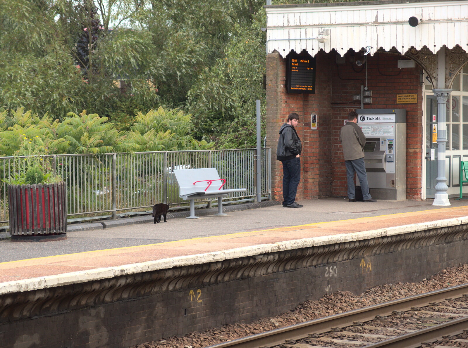 Station Cat mooches about on Platform 2 from New Railway and a Trip to Ikea, Ipswich and Thurrock - 19th September 2014