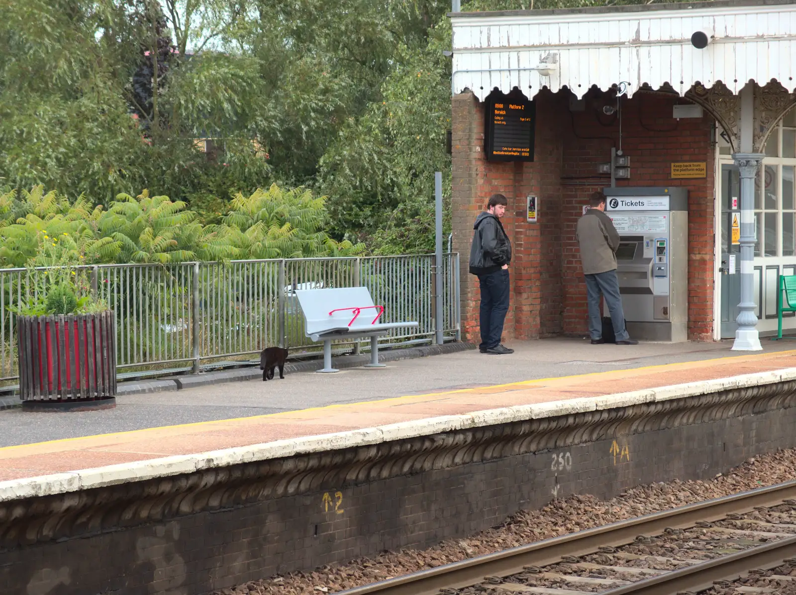 Station Cat mooches about on Platform 2, from New Railway and a Trip to Ikea, Ipswich and Thurrock - 19th September 2014