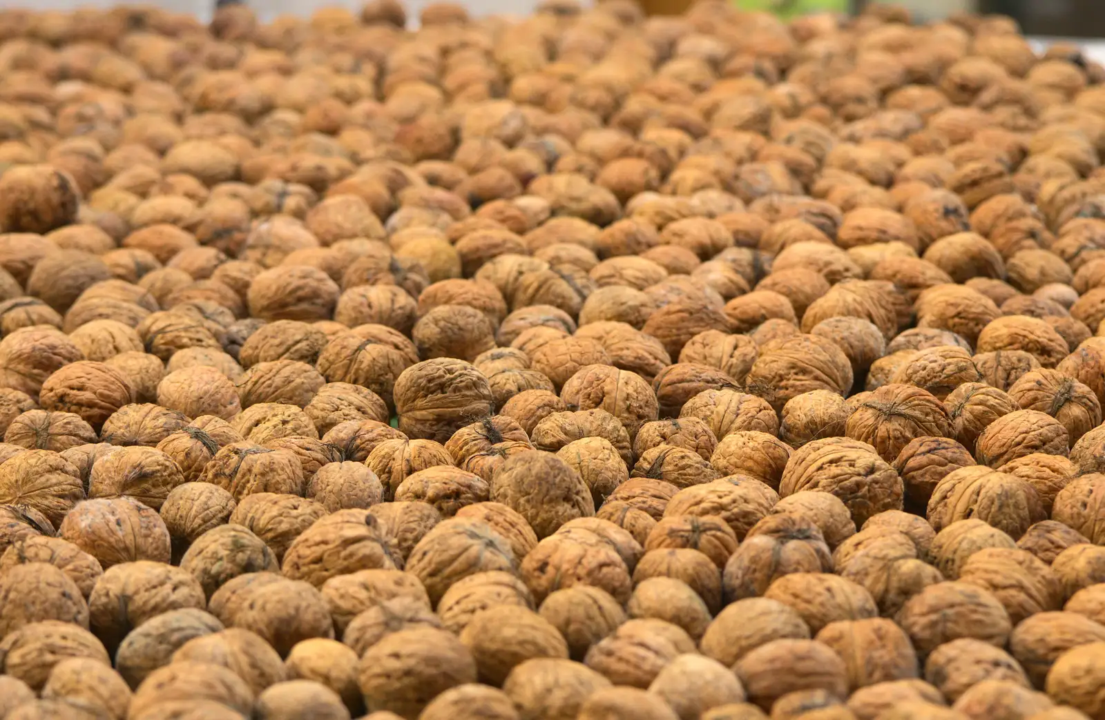 A mass of walnuts, from Fred's Shop, Brome, Suffolk - 20th September 2014