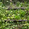 Derelict lines in the weeds, A Trip to Bressingham Steam Museum, Bressingham, Norfolk - 28th September 2014