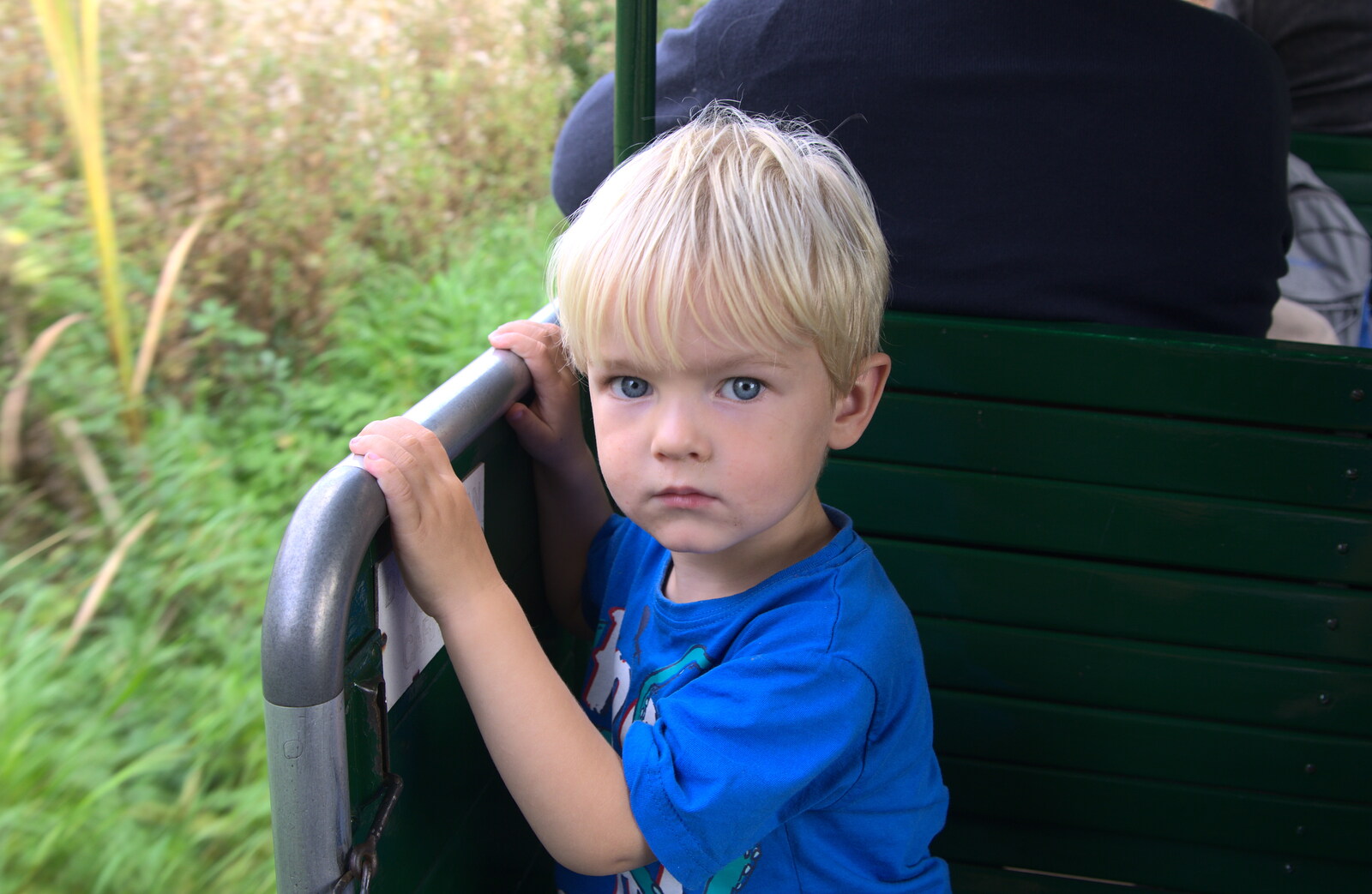 Gabes gives one of his stares from A Trip to Bressingham Steam Museum, Bressingham, Norfolk - 28th September 2014