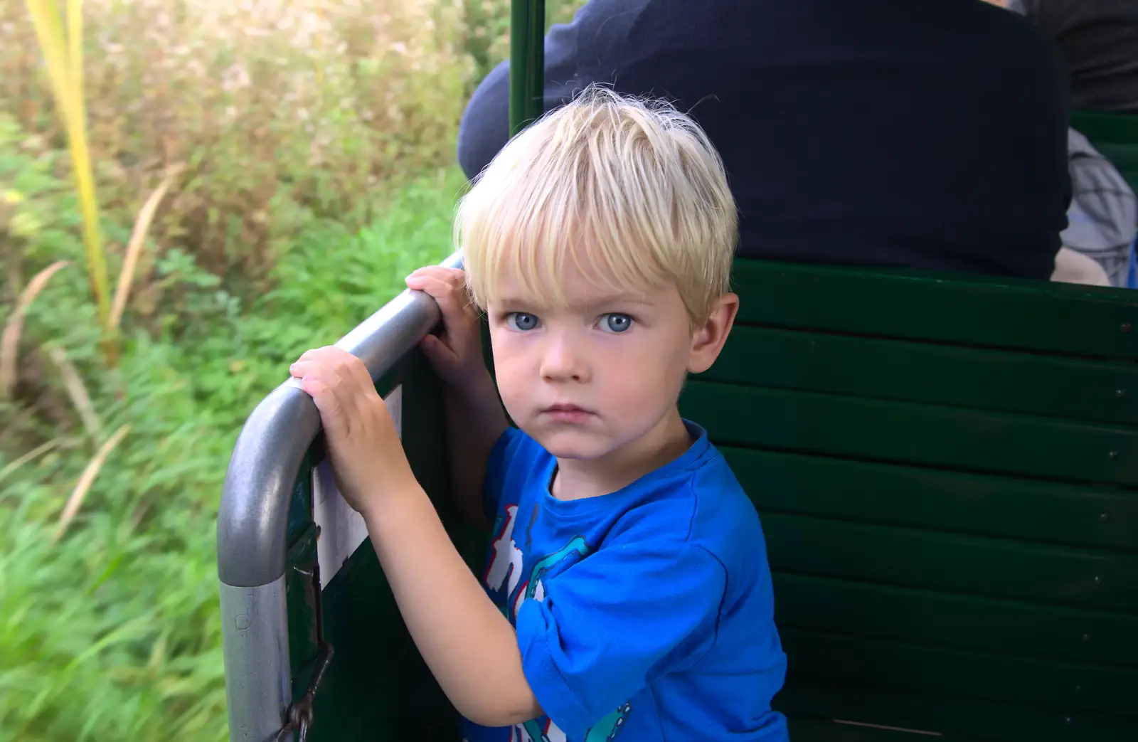 Gabes gives one of his stares, from A Trip to Bressingham Steam Museum, Bressingham, Norfolk - 28th September 2014