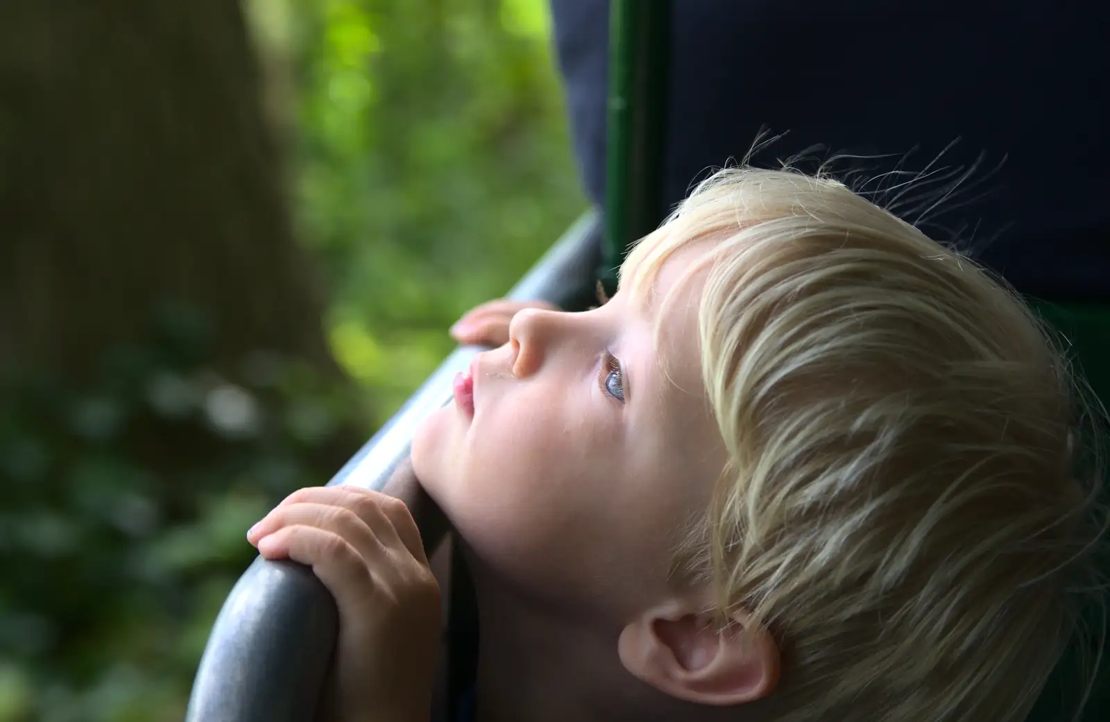 Harry looks upwards, from A Trip to Bressingham Steam Museum, Bressingham, Norfolk - 28th September 2014