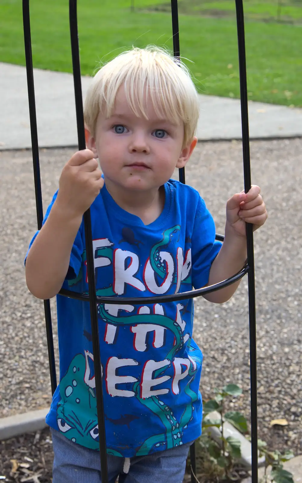 Harry in a tree cage, from A Trip to Bressingham Steam Museum, Bressingham, Norfolk - 28th September 2014