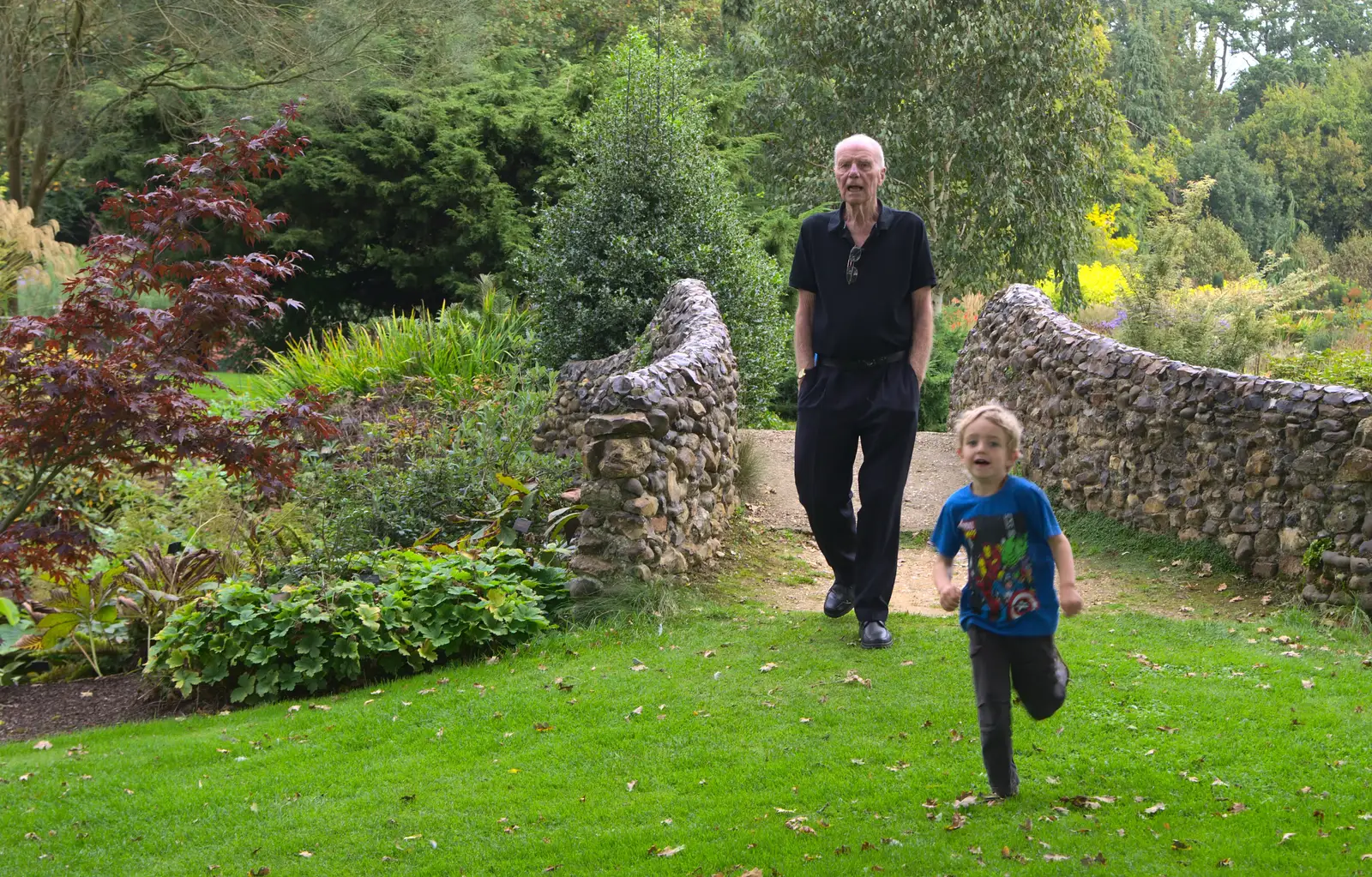 Fred runs ahead of Grandad in the gardens, from A Trip to Bressingham Steam Museum, Bressingham, Norfolk - 28th September 2014