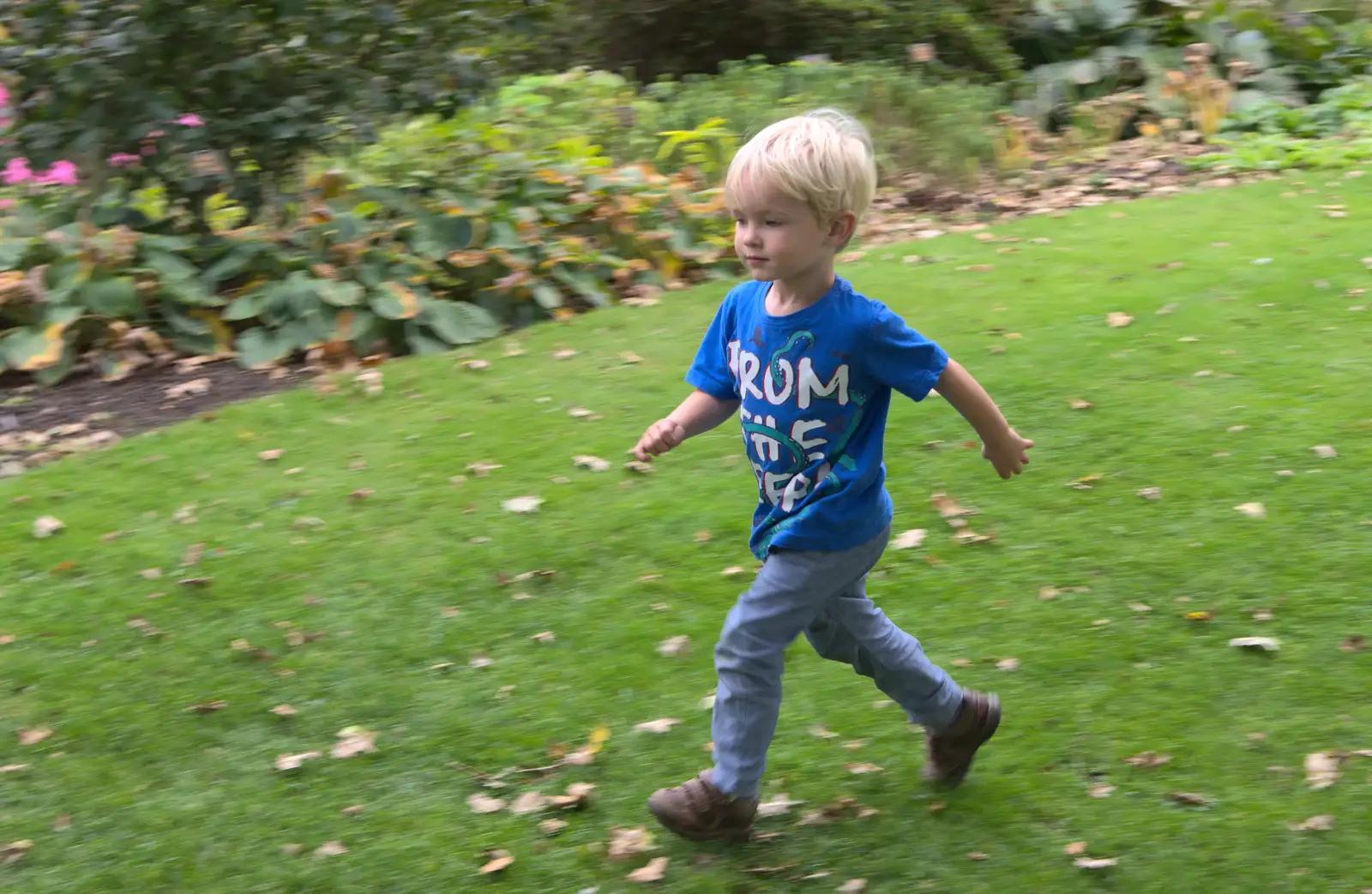 Harry has a run too, from A Trip to Bressingham Steam Museum, Bressingham, Norfolk - 28th September 2014