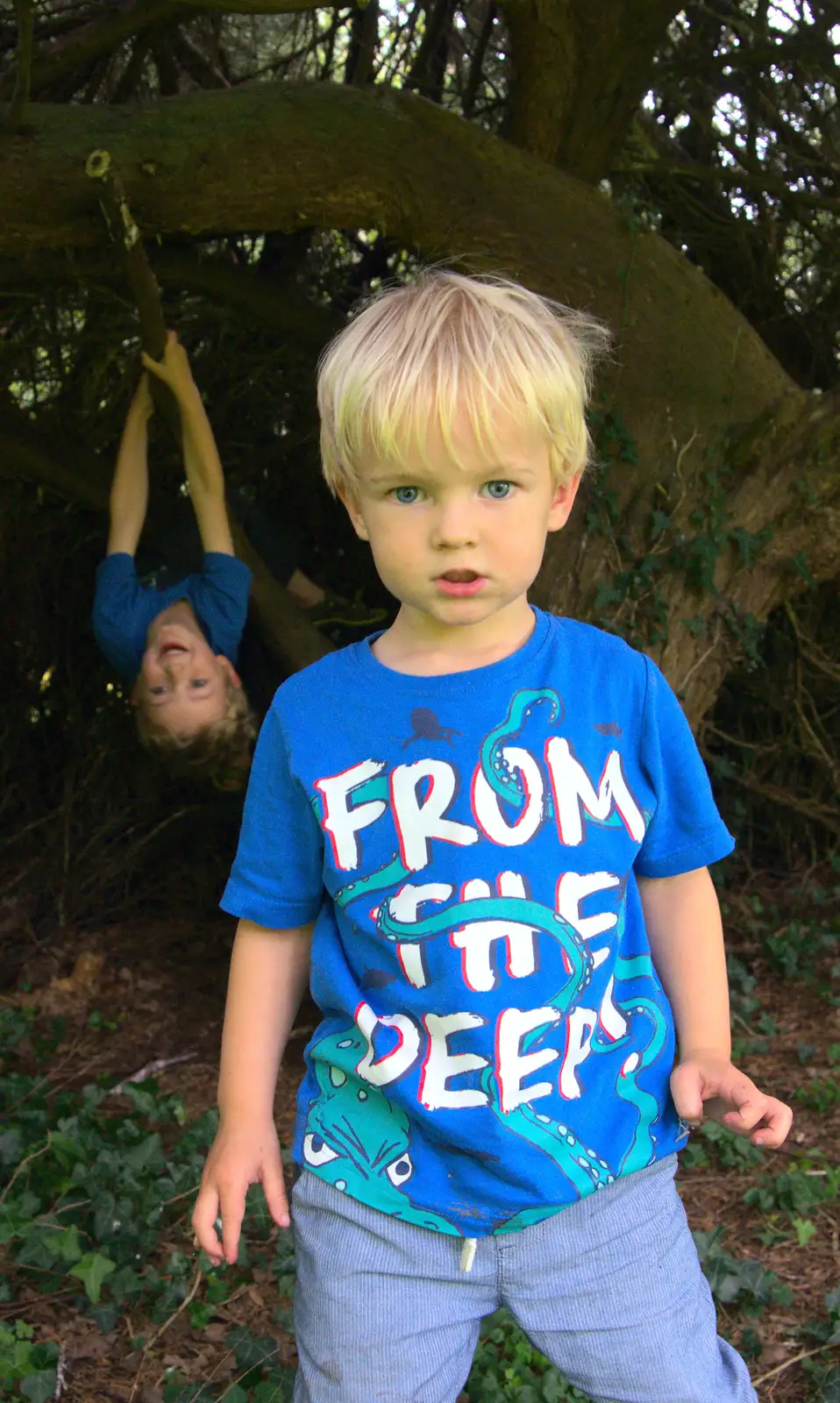 Fred hangs from a tree as Harry looks on, from A Trip to Bressingham Steam Museum, Bressingham, Norfolk - 28th September 2014