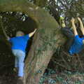The boys mess around in a tree, A Trip to Bressingham Steam Museum, Bressingham, Norfolk - 28th September 2014