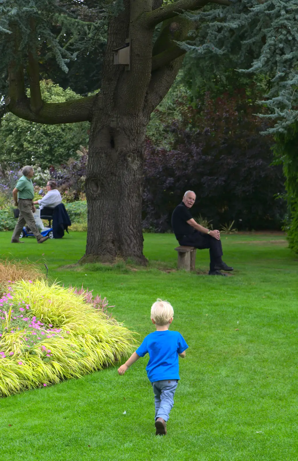 Harry runs towards Grandad, from A Trip to Bressingham Steam Museum, Bressingham, Norfolk - 28th September 2014