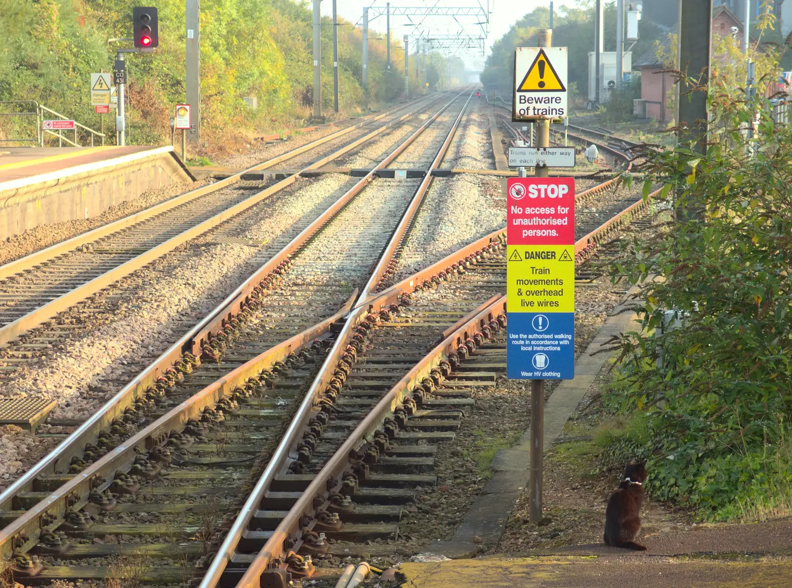 Station Cat crosses the rails, from A House Built of Wax and Diss Randomness, Southwark Street, London - 30th September 2014