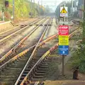 Station Cat crosses the rails, A House Built of Wax and Diss Randomness, Southwark Street, London - 30th September 2014