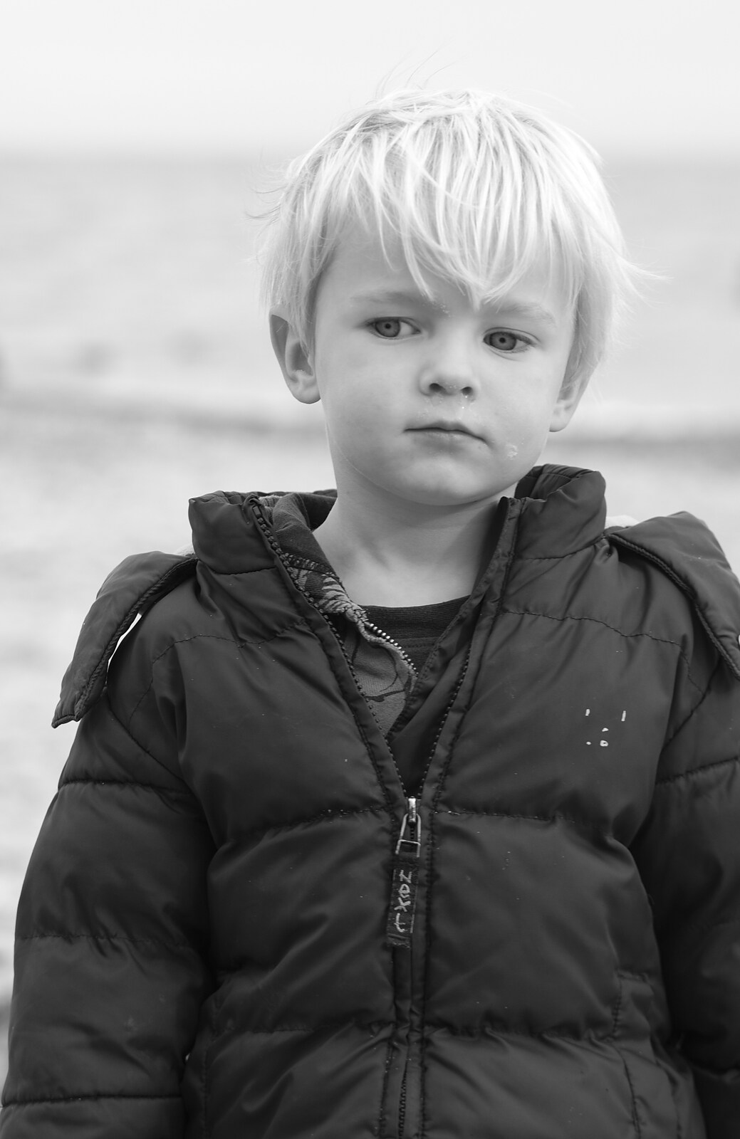 Harry - the (not so) Baby Gabey from On The Beach Again, Southwold, Suffolk - 12th October 2014