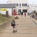 Fred scoots around, On The Beach Again, Southwold, Suffolk - 12th October 2014
