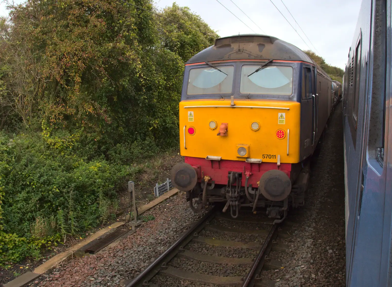 Class 57 57011 forms the second part of a pair, from (Very) Long Train (Not) Running, Stowmarket, Suffolk - 21st October 2014