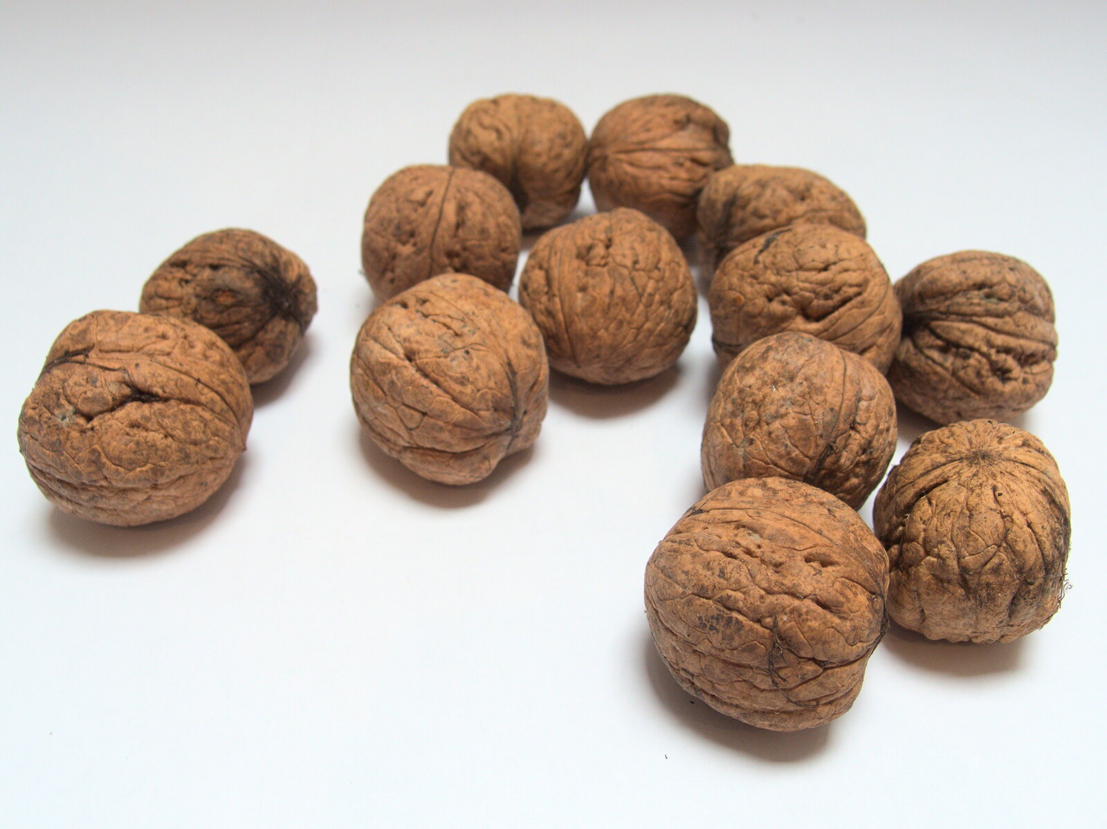 A bunch of walnuts from (Very) Long Train (Not) Running, Stowmarket, Suffolk - 21st October 2014