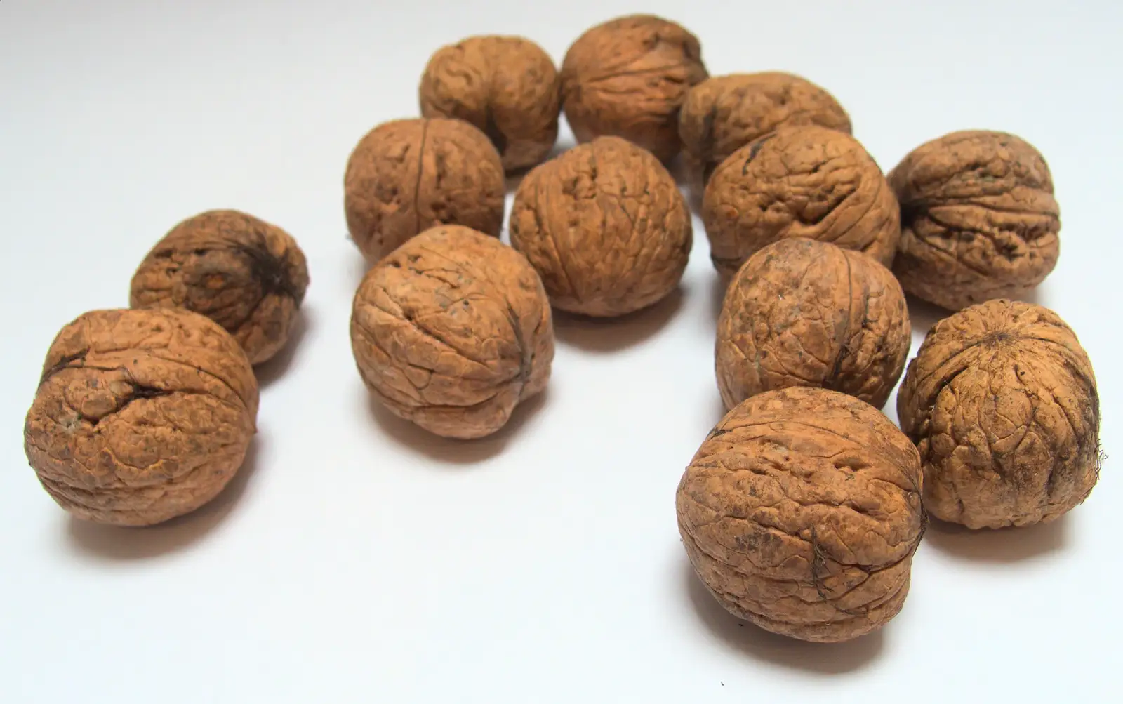 A bunch of walnuts, from (Very) Long Train (Not) Running, Stowmarket, Suffolk - 21st October 2014