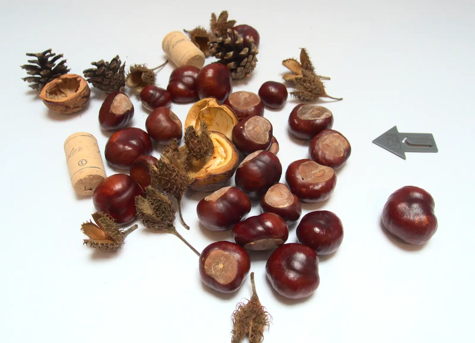 A nice collection of conkers and random stuff, from (Very) Long Train (Not) Running, Stowmarket, Suffolk - 21st October 2014