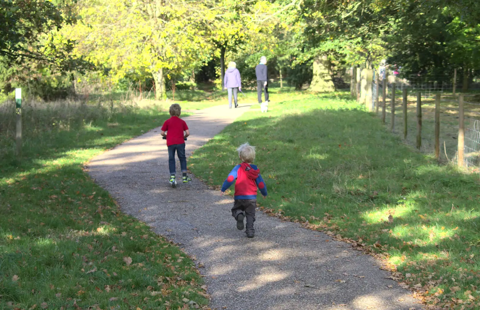 Harry runs after a scooting Fred, from Another Walk around Thornham Estate, Suffolk - 27th October 2014