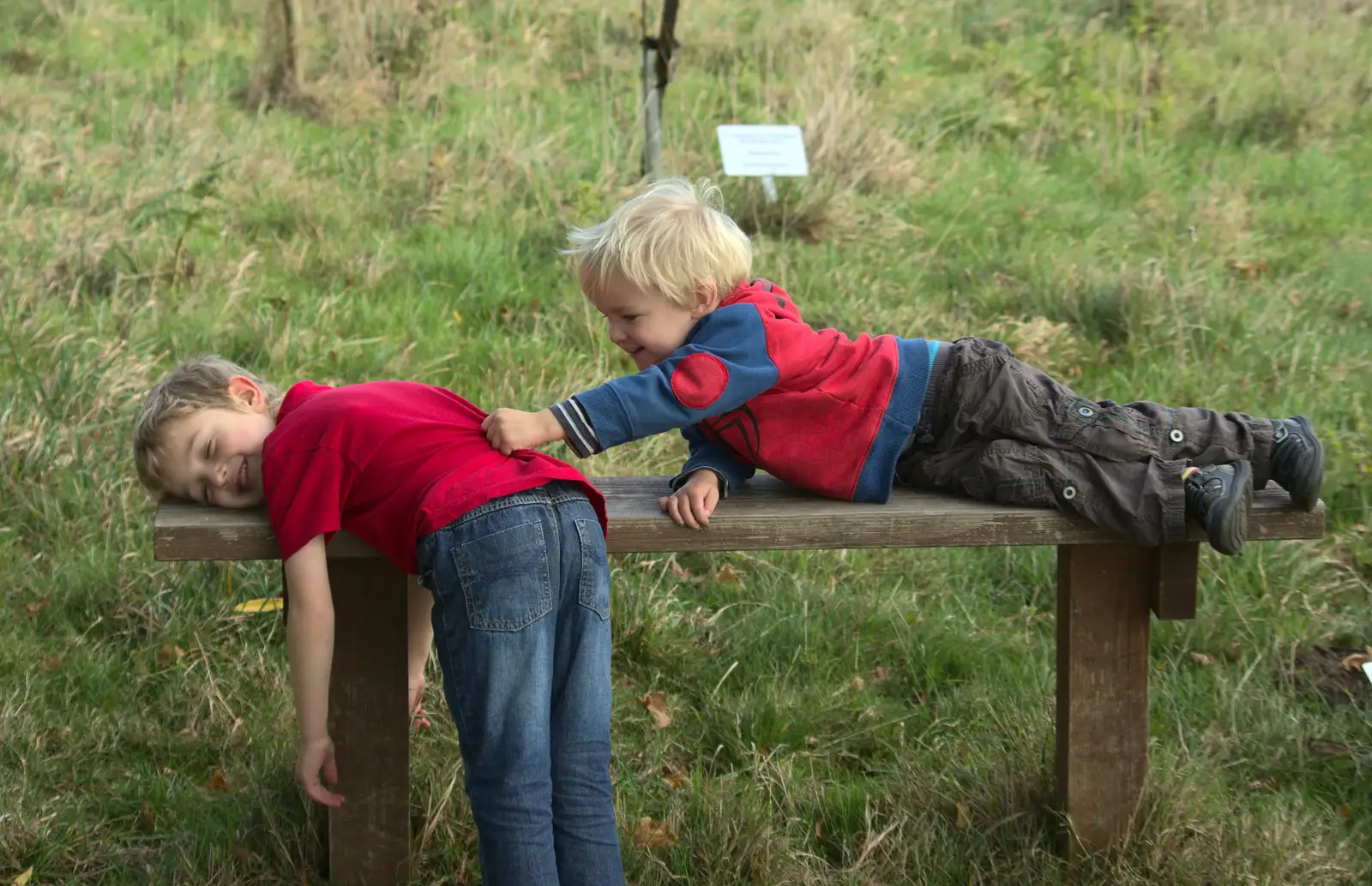 Harry grabs hold of Fred, from Another Walk around Thornham Estate, Suffolk - 27th October 2014