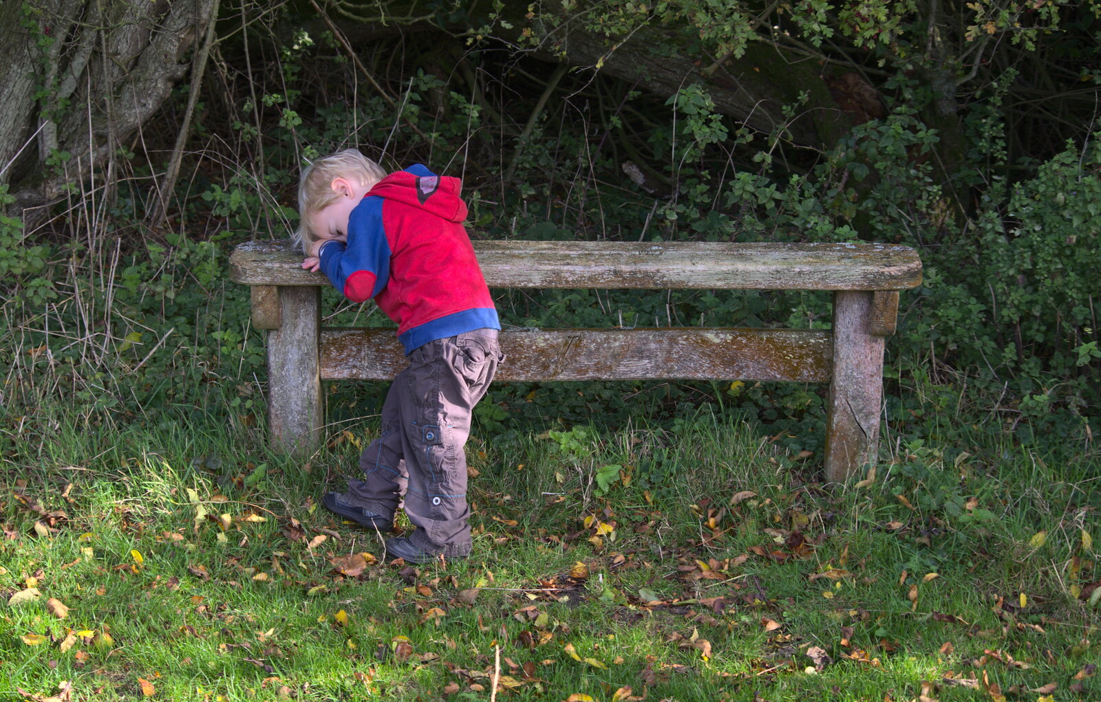 Harry leans on a bench from Another Walk around Thornham Estate, Suffolk - 27th October 2014