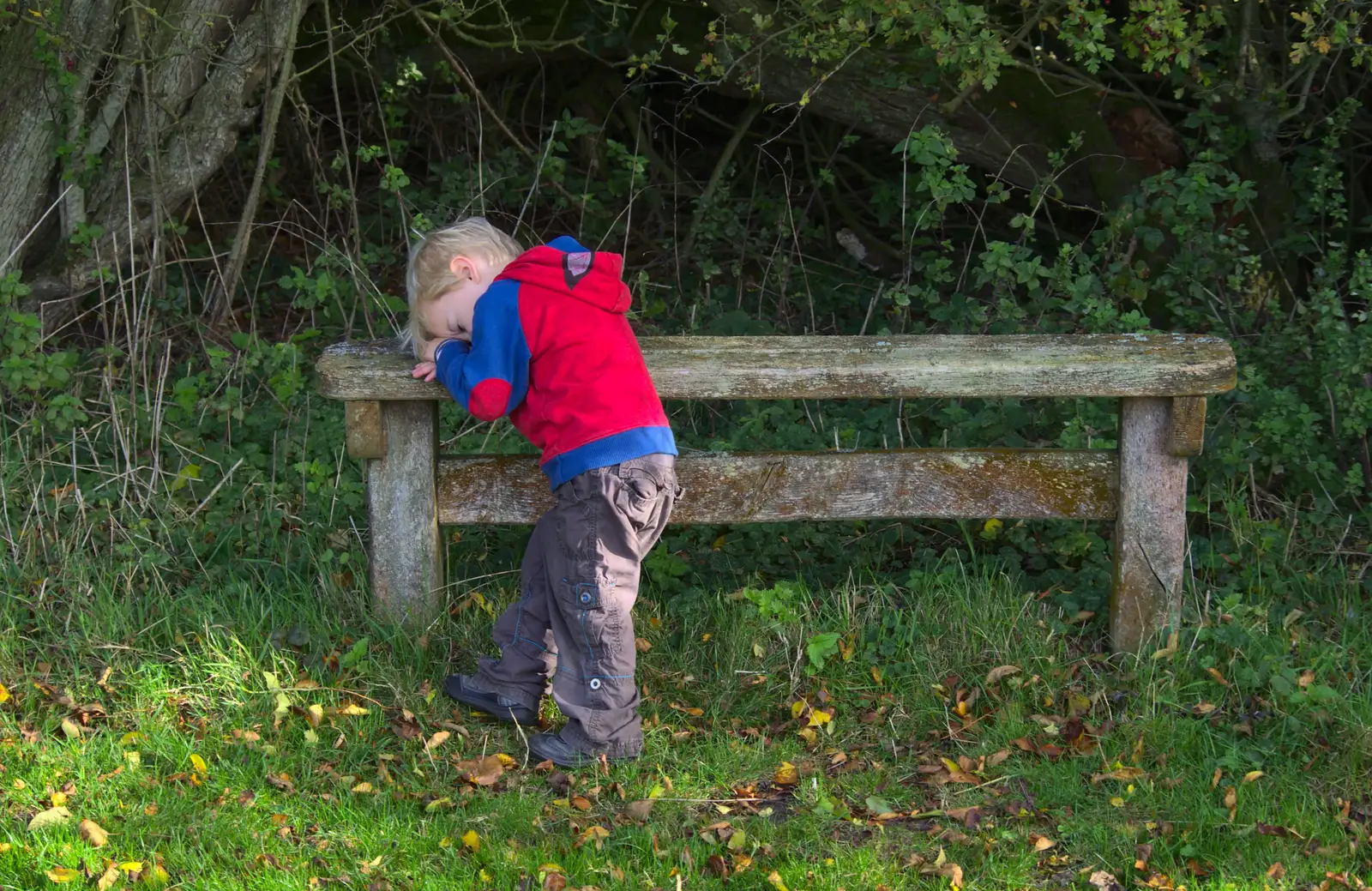 Harry leans on a bench, from Another Walk around Thornham Estate, Suffolk - 27th October 2014