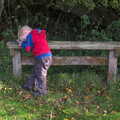 Harry leans on a bench, Another Walk around Thornham Estate, Suffolk - 27th October 2014