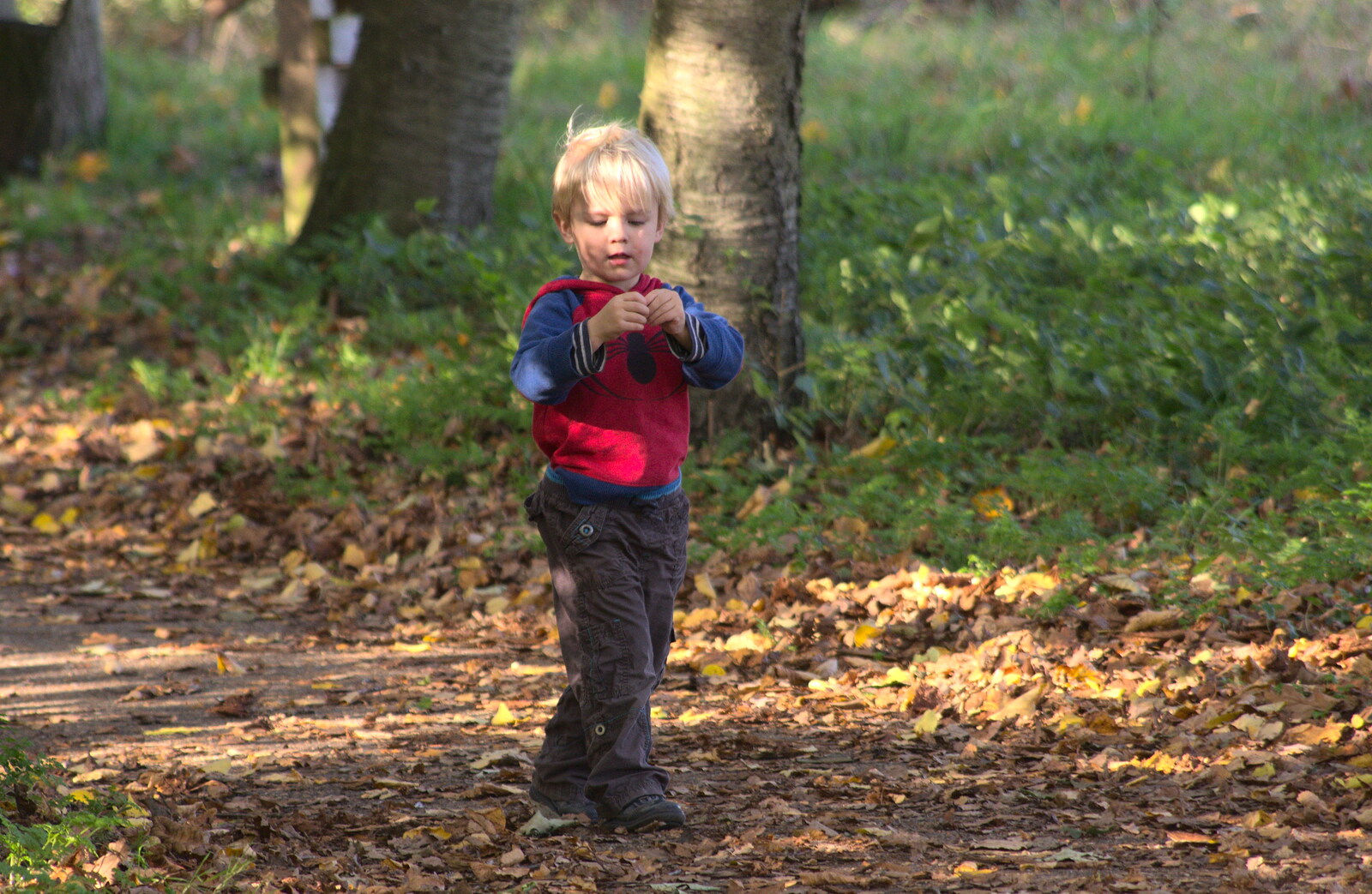 Harry roams around from Another Walk around Thornham Estate, Suffolk - 27th October 2014