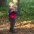 Harry roams around, Another Walk around Thornham Estate, Suffolk - 27th October 2014