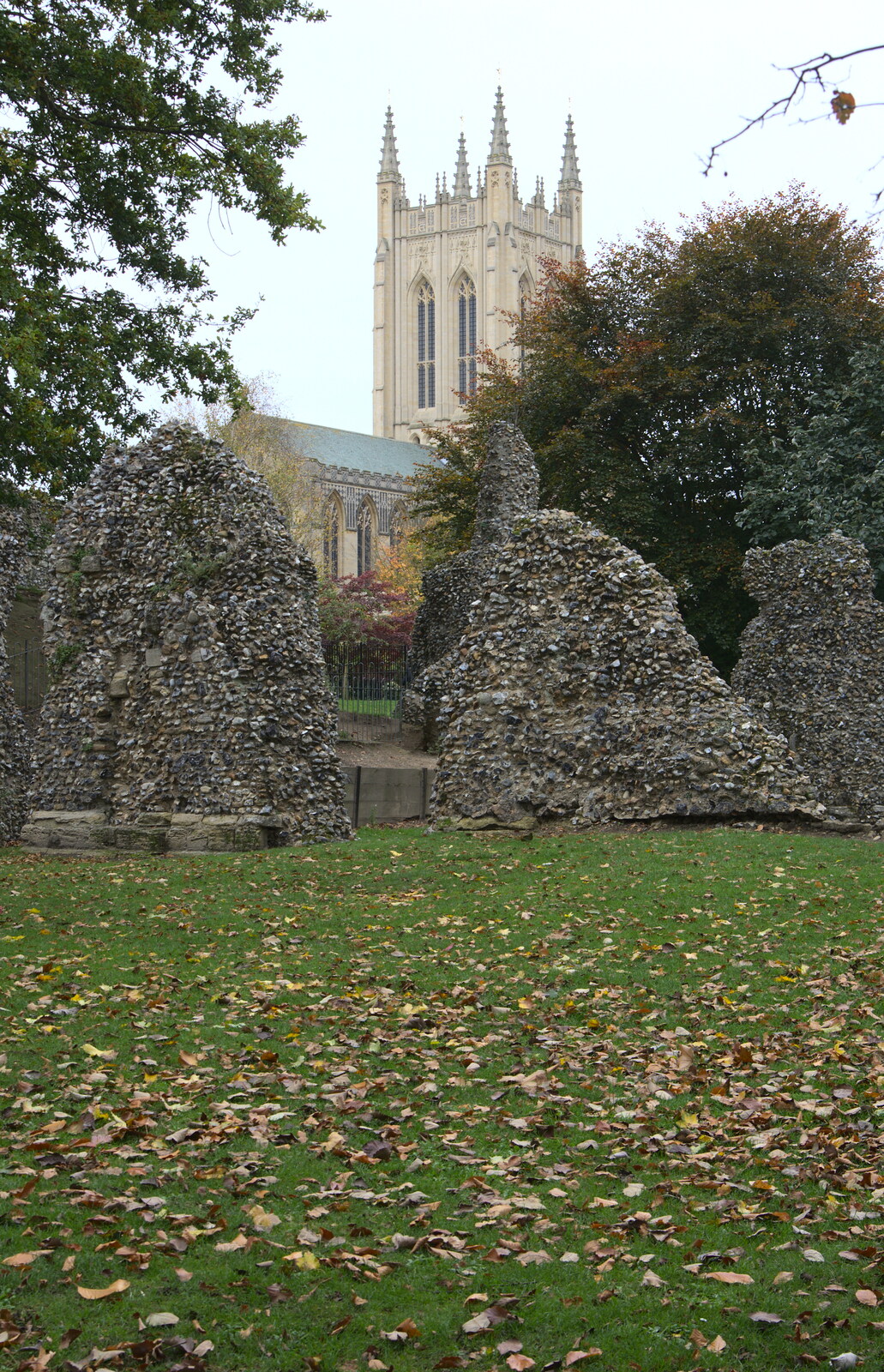 Abbey ruins from A Trip to Abbey Gardens, Bury St. Edmunds, Suffolk - 29th October 2014