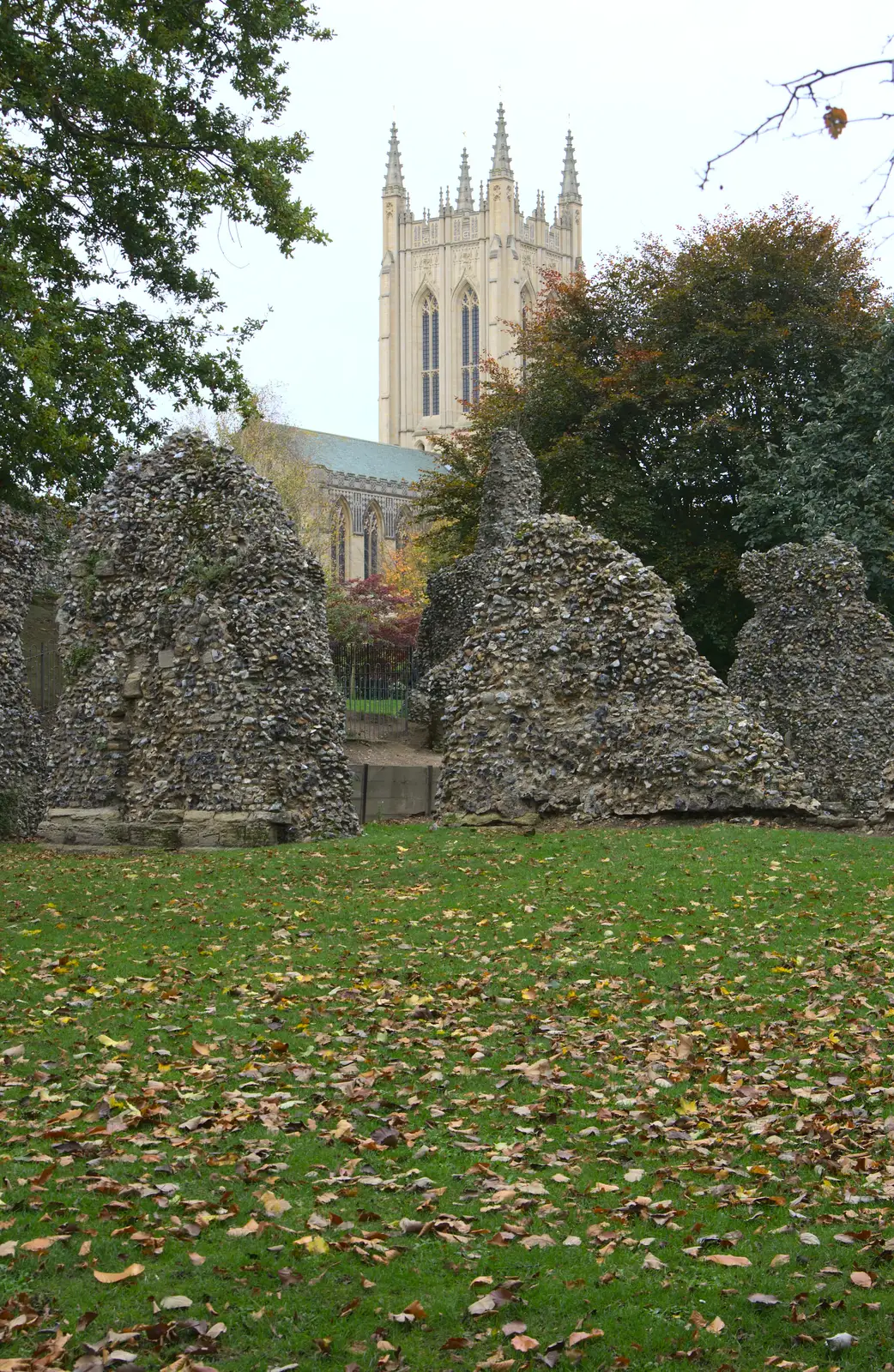 Abbey ruins, from A Trip to Abbey Gardens, Bury St. Edmunds, Suffolk - 29th October 2014