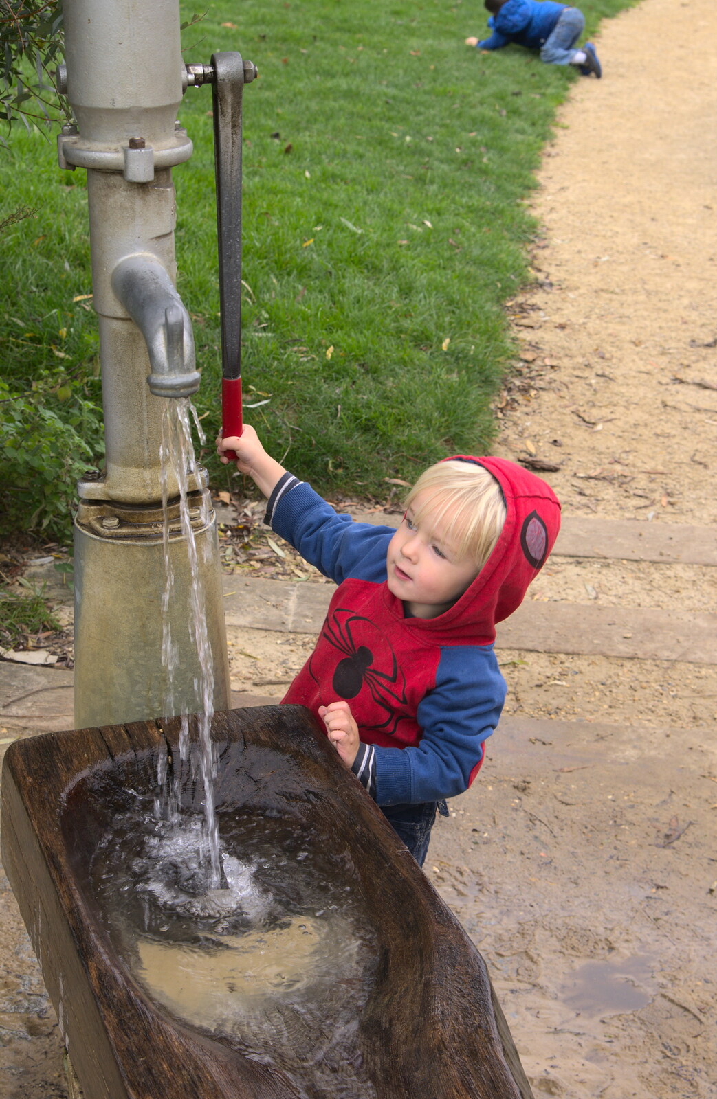 Harry has a go of the pump from A Trip to Abbey Gardens, Bury St. Edmunds, Suffolk - 29th October 2014