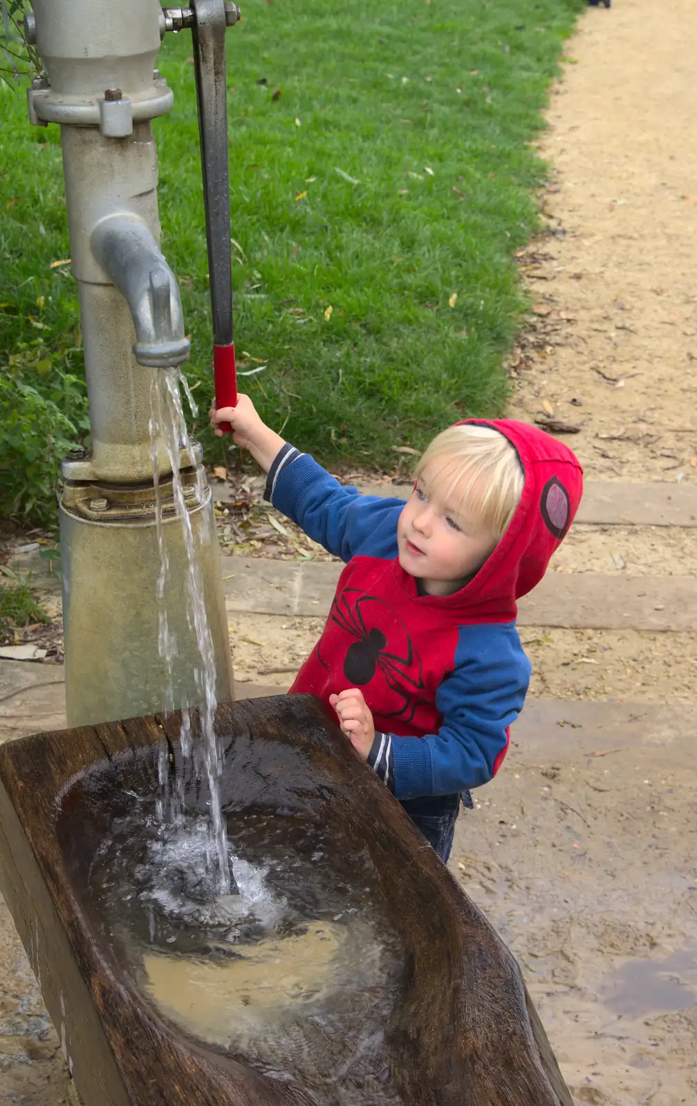 Harry has a go of the pump, from A Trip to Abbey Gardens, Bury St. Edmunds, Suffolk - 29th October 2014