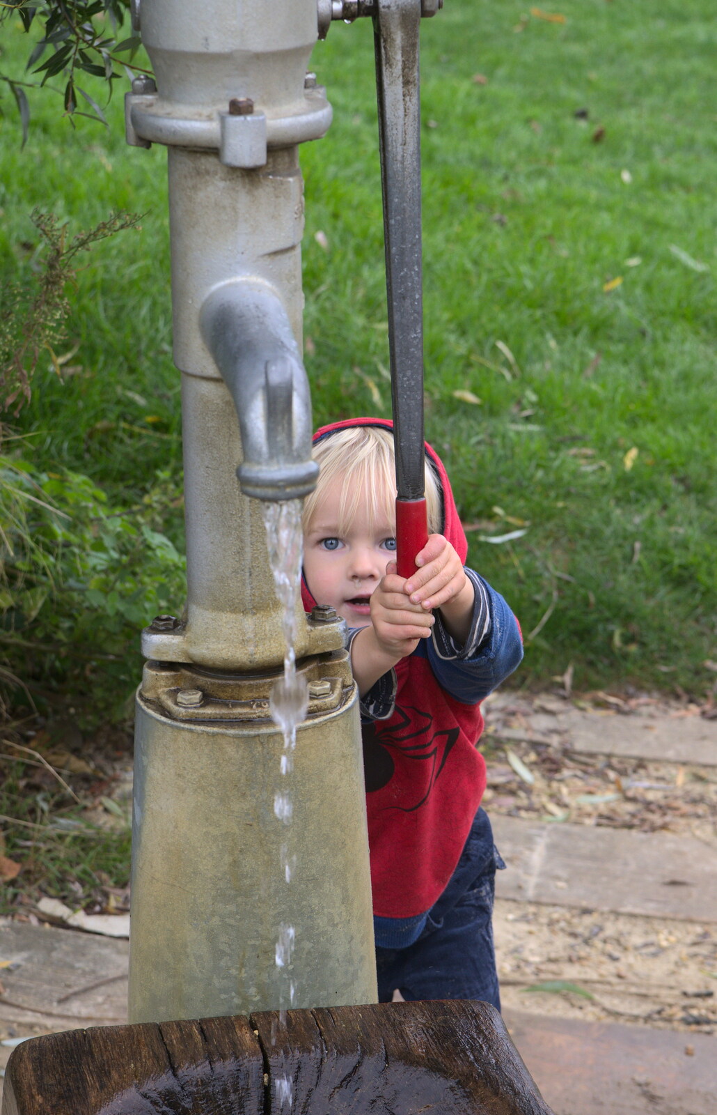 Harry does more pumping action from A Trip to Abbey Gardens, Bury St. Edmunds, Suffolk - 29th October 2014