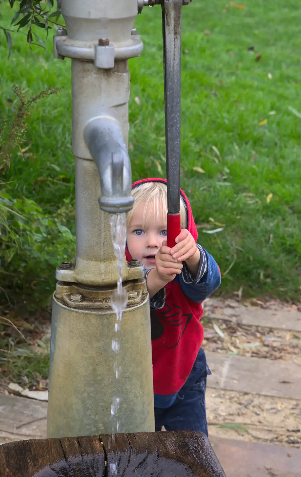 Harry does more pumping action, from A Trip to Abbey Gardens, Bury St. Edmunds, Suffolk - 29th October 2014