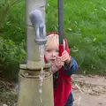 Harry does more pumping action, A Trip to Abbey Gardens, Bury St. Edmunds, Suffolk - 29th October 2014