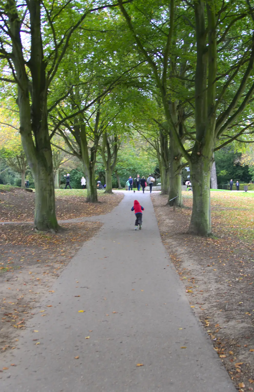 Fred scoots off along the path, from A Trip to Abbey Gardens, Bury St. Edmunds, Suffolk - 29th October 2014