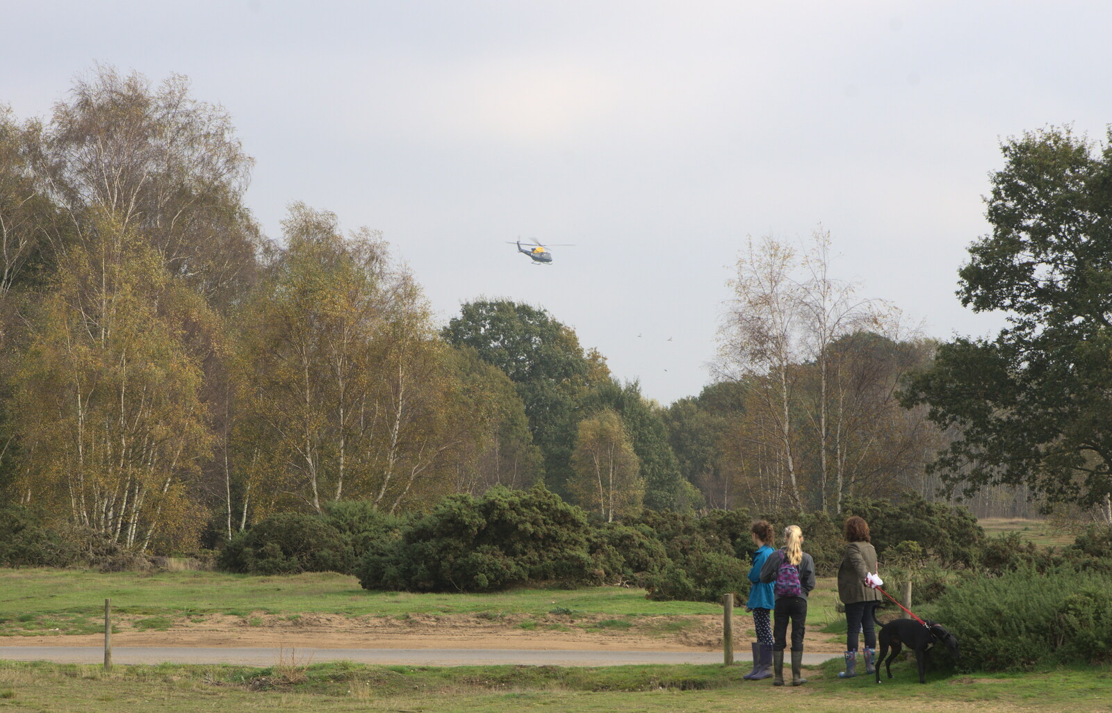 The air ambulance flies over Wortham Ling from A Walk on Wortham Ling, Diss, Norfolk - 30th October 2014