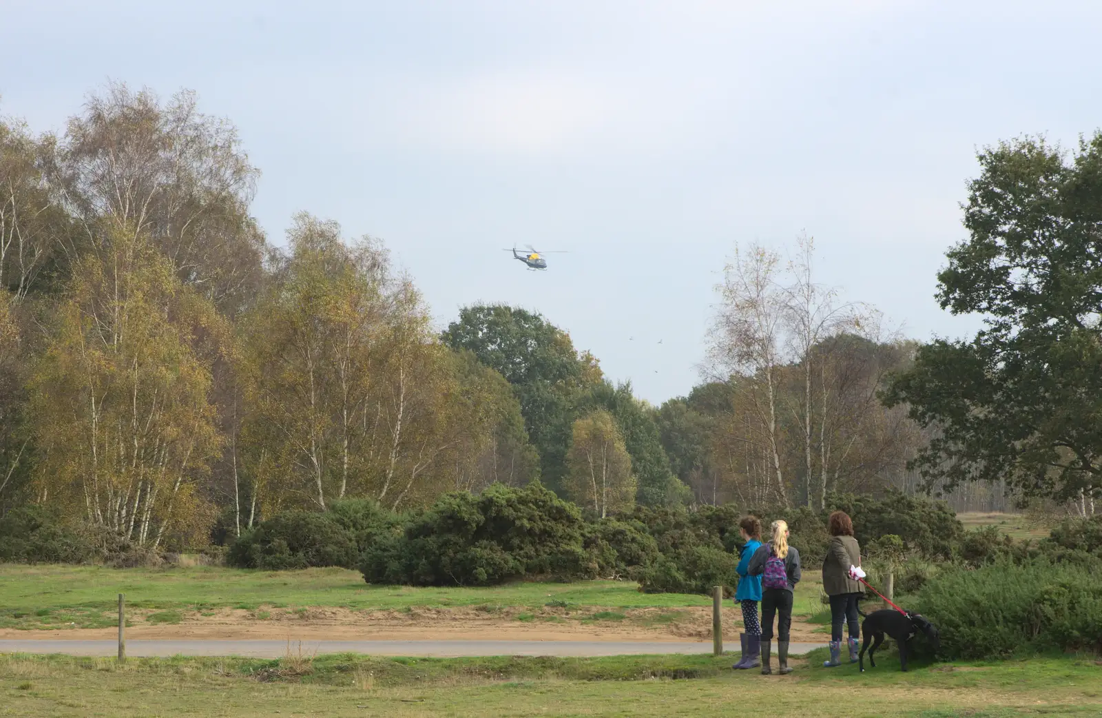 The air ambulance flies over Wortham Ling, from A Walk on Wortham Ling, Diss, Norfolk - 30th October 2014