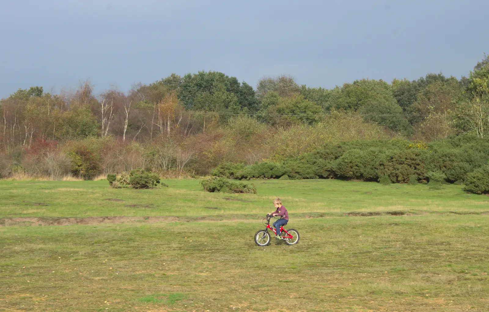 Fred cycles around on the Ling, from A Walk on Wortham Ling, Diss, Norfolk - 30th October 2014