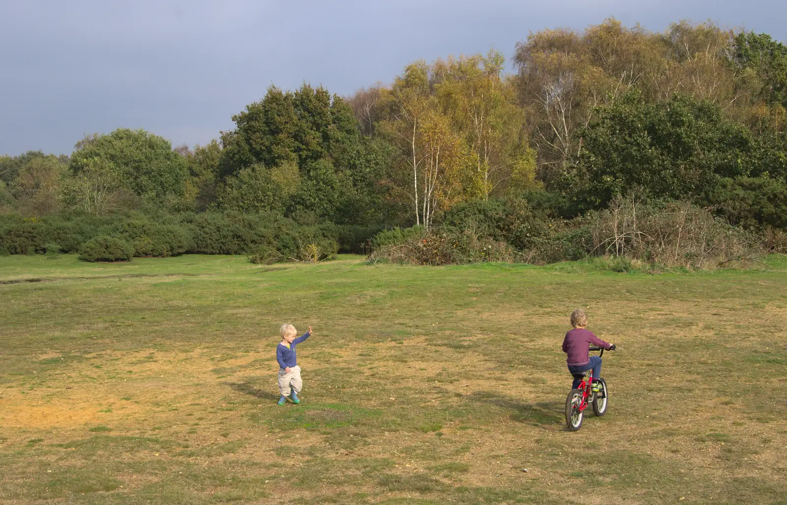 Fred goes in circles around Harry, from A Walk on Wortham Ling, Diss, Norfolk - 30th October 2014