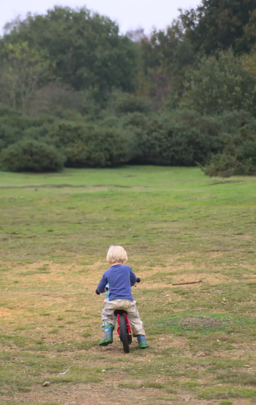 Harry bikes around, from A Walk on Wortham Ling, Diss, Norfolk - 30th October 2014