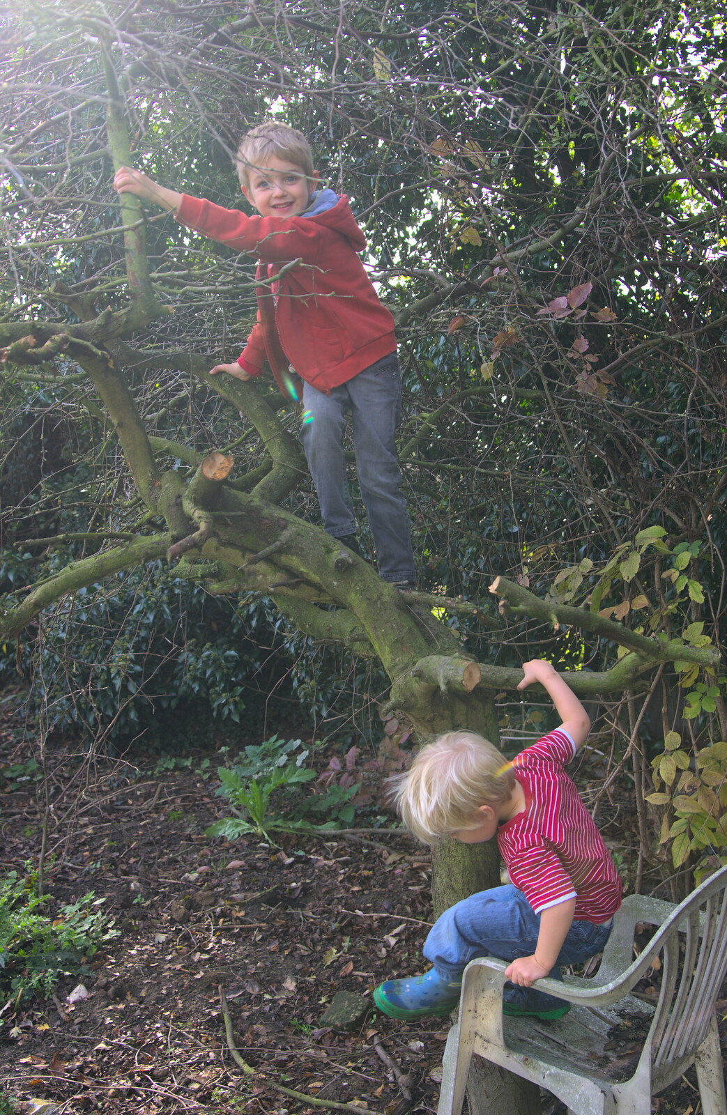The boys climb the dead tree in the garden from A Walk on Wortham Ling, Diss, Norfolk - 30th October 2014