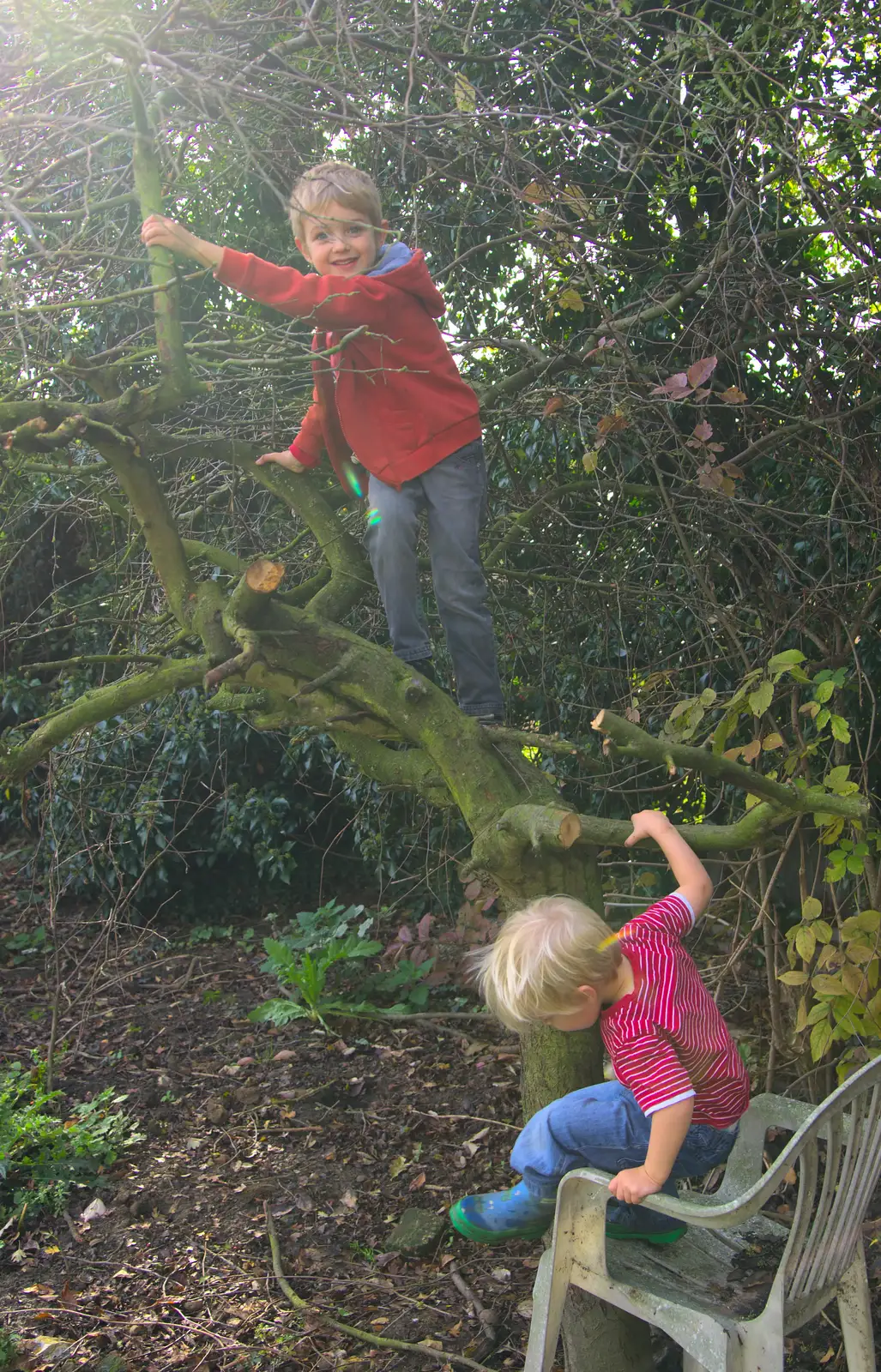 The boys climb the dead tree in the garden, from A Walk on Wortham Ling, Diss, Norfolk - 30th October 2014