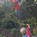 The boys climb the dead tree in the garden, A Walk on Wortham Ling, Diss, Norfolk - 30th October 2014