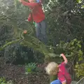 The boys climb the dead tree in the garden, A Walk on Wortham Ling, Diss, Norfolk - 30th October 2014